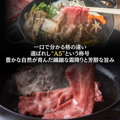 【A5仙台牛】霜降り肩ロース 500g×1 すき焼き・しゃぶしゃぶ 最高等級 黒毛和牛