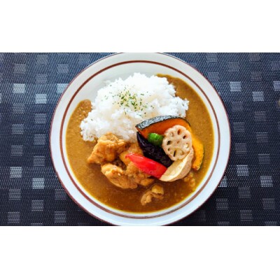 ごろごろチキンの和風カレー200g 6個セット