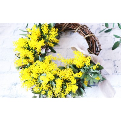 フレッシュ ミモザ ハーフムーンリース L【2026年2月下旬-3月下旬 発送予定】