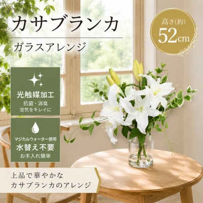 「凛と咲く白百合|カサブランカとグリーンの上質インテリアフラワー」|光触媒加工