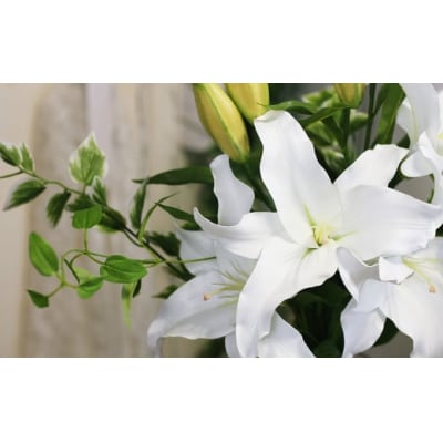 水替え不要!!「ユリの女王」 優美なカサブランカとグリーン ガラス花瓶付きアレンジ