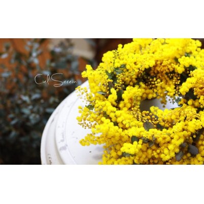 フレッシュ ミモザのリース【2026年2月下旬-3月下旬 発送予定】