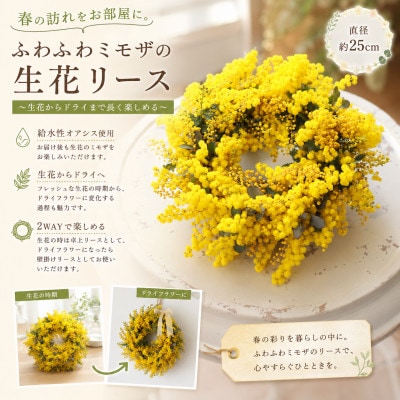 春の訪れを届ける|ふわふわミモザの生花リース【2027年2月下旬-3月下旬 発送予定】