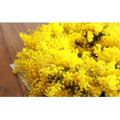 フレッシュ ミモザのリース【2026年2月下旬-3月下旬 発送予定】