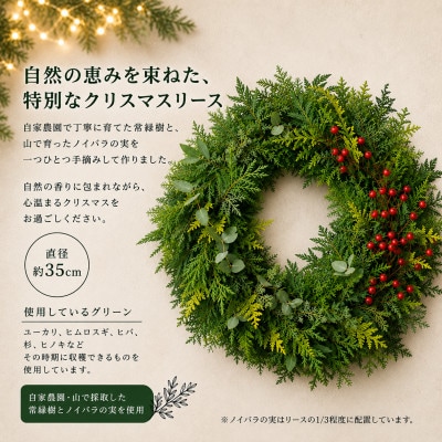 飾るたび、森の香り。常緑樹のフレッシュChristmasリース　約35cm　1個