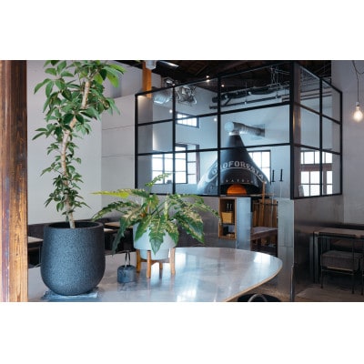 薪窯焼きマルゲリータ