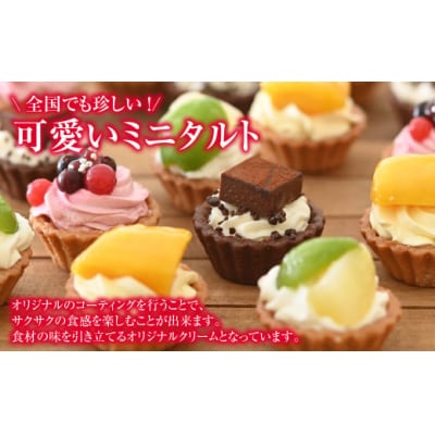 みにたると 15個セット