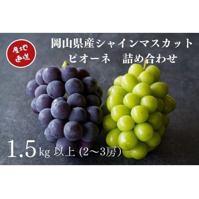 厳選　岡山県産　シャインマスカット・ピオーネ　詰合せ　計1.5kg以上　2～3房　産直・朝採れ