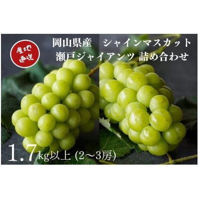 厳選　岡山県産　シャインマスカット・瀬戸ジャイアンツ　詰合せ　計1.7kg以上2～3房　産直・朝採れ