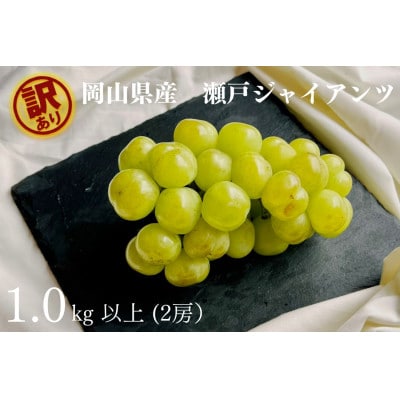 【2026年先行受付】　岡山県産　訳あり 瀬戸ジャイアンツ　2房 合計1.0kg以上 産直・朝採れ