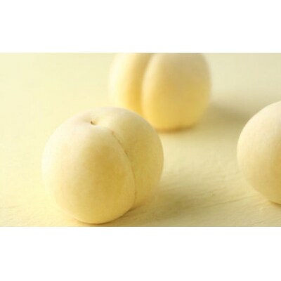 岡山県産 冬桃がたり 3個入り 約600g 2025年11月下旬～2026年1月上旬迄順次発送予定 