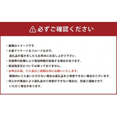 岡山県産 冬桃がたり 3個入り 約600g 2025年11月下旬～2026年1月上旬迄順次発送予定 