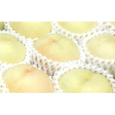 岡山県産 冬桃がたり 3個入り 約600g 2025年11月下旬～2026年1月上旬迄順次発送予定 