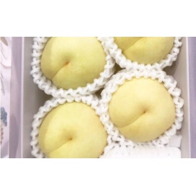 岡山県産 冬桃がたり 3個入り 約600g 2025年11月下旬～2026年1月上旬迄順次発送予定 