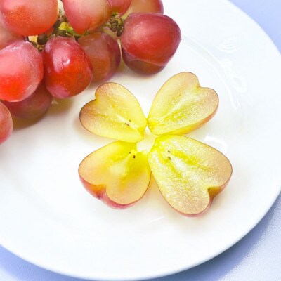 岡山県産マイハート 1房 【2026年9月上旬以降順次発送予定】