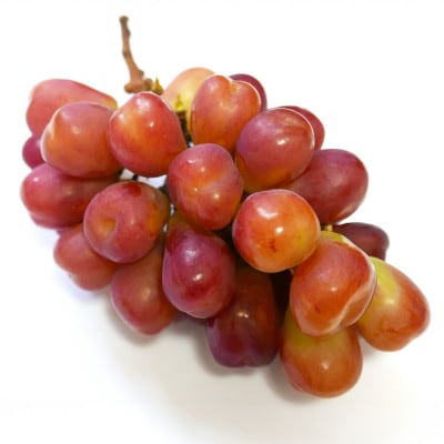 岡山県産マイハート 1房 【2026年9月上旬以降順次発送予定】