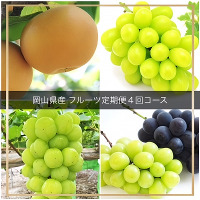 【発送月固定定期便】岡山県産 フルーツ定期便全4回