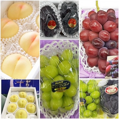 【発送月固定定期便】岡山県産  フルーツ定期便全6回