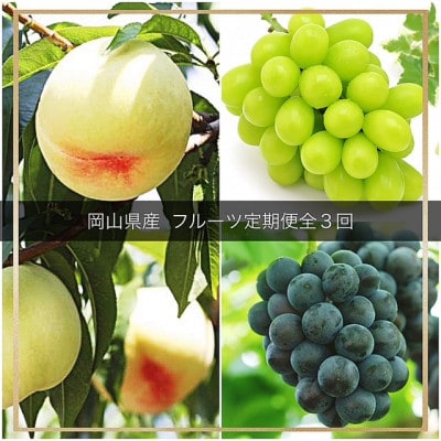 【発送月固定定期便】岡山県産  フルーツ定期便全3回
