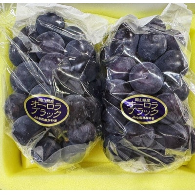 【2026年発送】岡山県産 オーロラブラック 2房 (約940g) 化粧箱入り