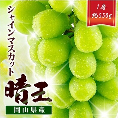先行予約　シャインマスカット晴王　1房　約550g　9月～10月発送　岡山県産　種無し