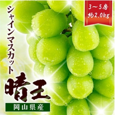 先行予約　シャインマスカット晴王　3～5房　約2.0kg　9月～10月発送　岡山県産　露地栽培
