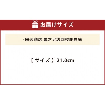 雲才足袋四枚馳白底【21.0cm】