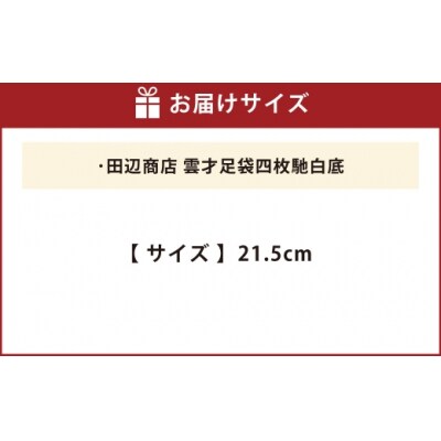 雲才足袋四枚馳白底【21.5cm】