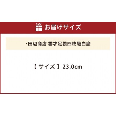 雲才足袋四枚馳白底【23.0cm】