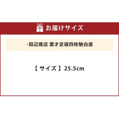 雲才足袋四枚馳白底【25.5cm】