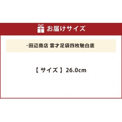 雲才足袋四枚馳白底【26.0cm】