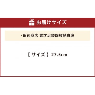 雲才足袋四枚馳白底【27.5cm】