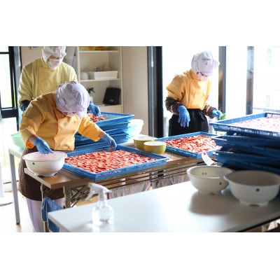 【思いやり型返礼品】「王様のおやつドライフルーツ」5種詰め合わせセット 岡山県 倉敷市ドライフルーツ