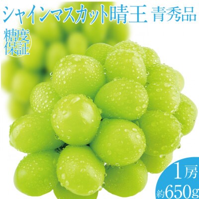 先行予約 2026年 9月～10月発送  シャインマスカット 晴王 1房 約650g 岡山県産
