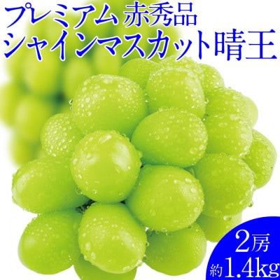 先行予約　赤秀　最高品質　プレミアム　シャインマスカット　晴王　2房　1.4kg　岡山県産　ハレノ