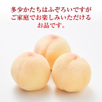 《ご家庭用》おかやまの桃(大玉) 3玉(合計約900g) 【2026年7月～8月発送】