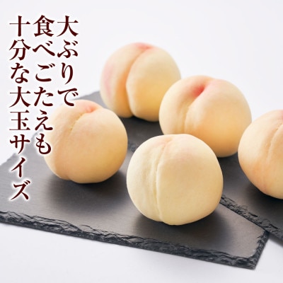 《ご家庭用》おかやまの桃(大玉) 3玉(合計約900g) 【2026年7月～8月発送】