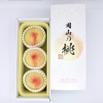 岡山の白桃(大玉/晩生種) 3玉(1玉約300g)【2026年8月より順次発送】