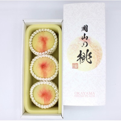 岡山の白桃(大玉/早生種) 3玉(合計約840g)【2026年6月～7月発送】
