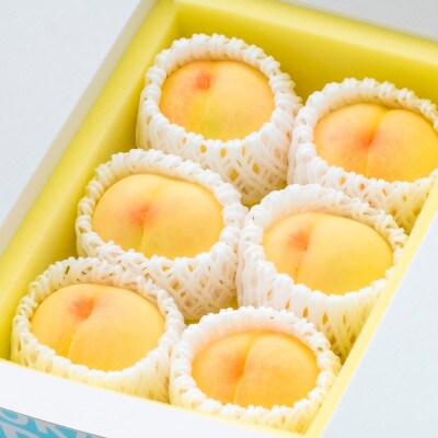 《ご家庭用》岡山の白桃(早生種) 5～6玉(合計約1.3kg)2026年6月～7月発送