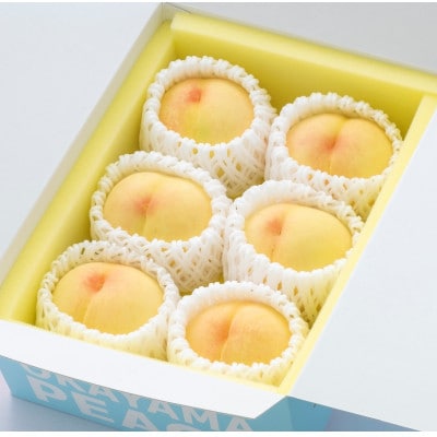 《ご家庭用》白桃(晩生種) 5～6玉(合計約1.5kg)【2027年8月より順次発送】
