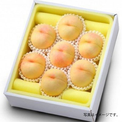 白桃 晩生種(大玉) 6-7玉(約2.2kg)【2026年8月～9月発送】