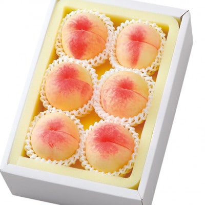 清水白桃 5-6玉(約1.3kg)【2027年7月～8月発送】