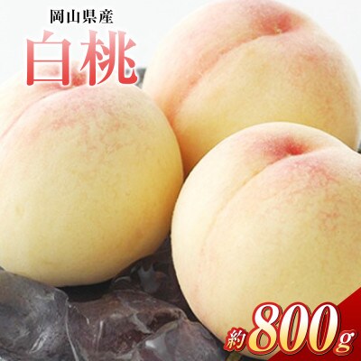 白桃 3玉(合計約800g)【2026年7月より順次発送】