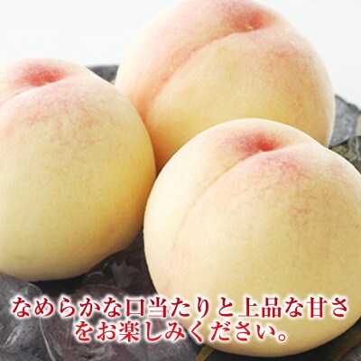 白桃 8玉(合計約2.0kg)【2026年7月より順次発送】