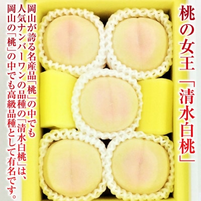 清水白桃 5玉(合計約1.3kg) 【2026年7月～8月発送】