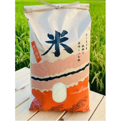 岡山県産新米きぬむすめ10キロ