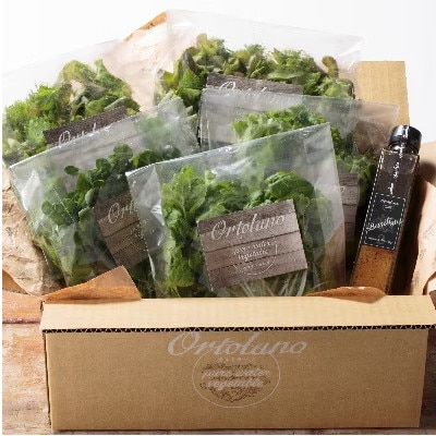 yOrtolanozt@[XgNX̃T_&hbVOZbg A