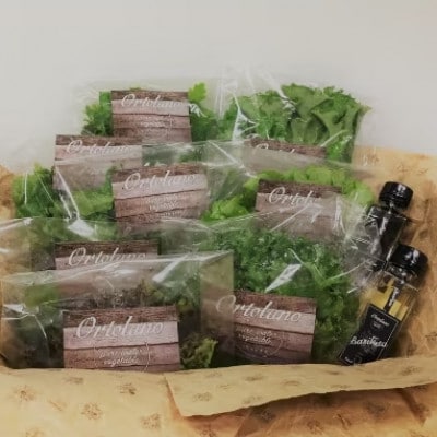 ファーストクラスのサラダ&ドレッシングセット B