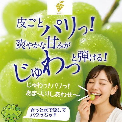 先行予約 訳あり 木熟ぶどう ハレノシャイン シャインマスカット2房約1.2kg 10月～11月発送